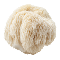 Lion's Mane