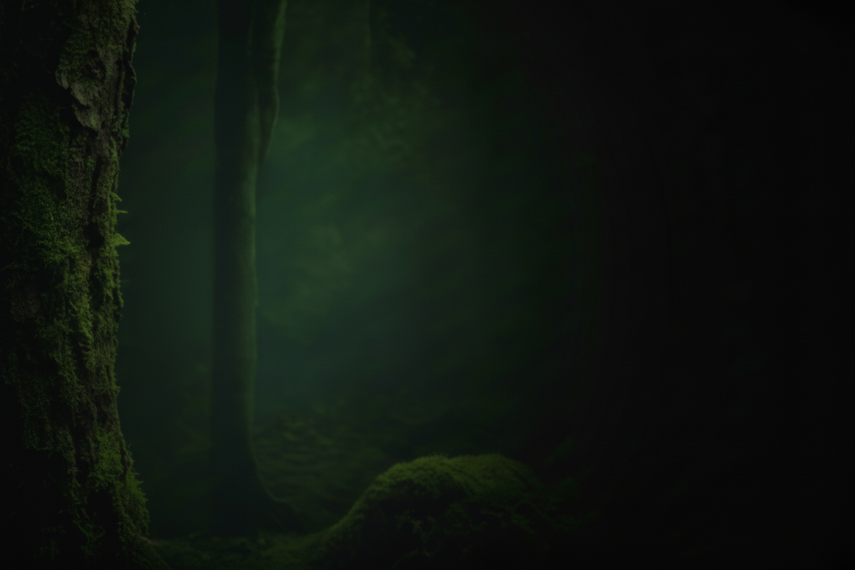 Deep Green Mossy Forest Background