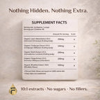 90 Days Morning Edge Ritual - Fasting Support Powder